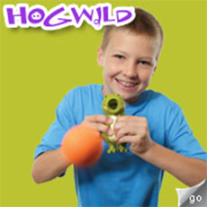 Hogwild